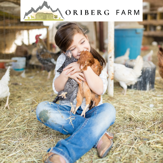 Chickens and Egg Production