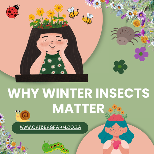 Insect Activity in Your Garden.